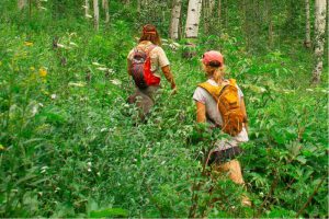 A rotina é um caminho aberto à força.