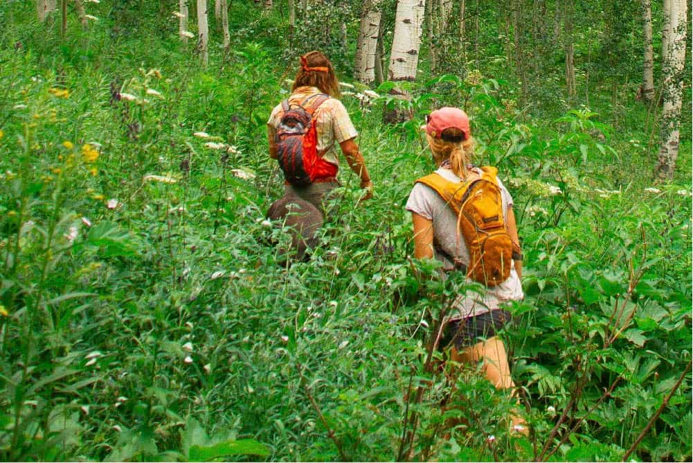 A rotina é um caminho aberto à força.