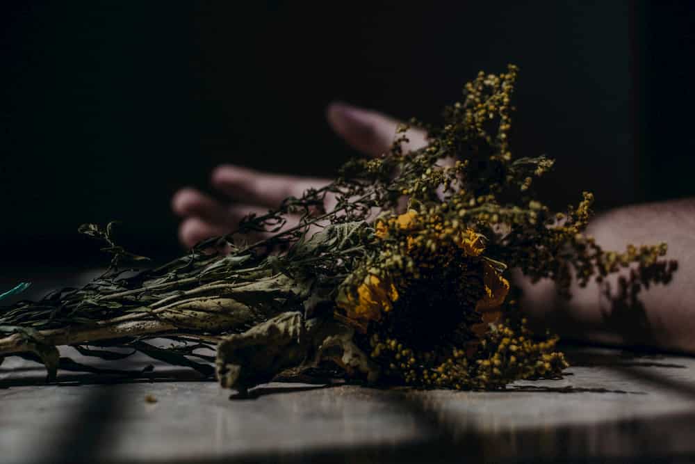 Momento da palavra: morte