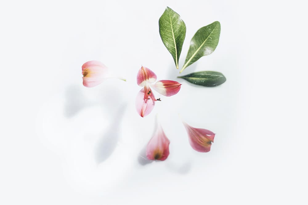 No processo de decisão dúvidas precisam ser esclarecidas, o que pode levar à fadiga.