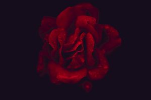 Tirésias tornou-se mulher por falhar em seu rito iniciático.