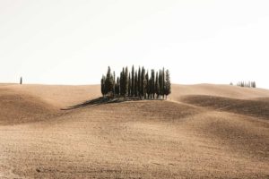 Planejar se origina do latim, “planus”, que significa chato, liso.