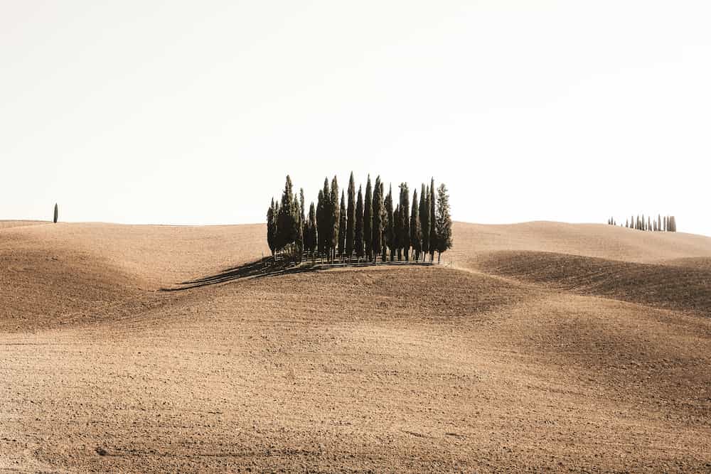 Planejar se origina do latim, “planus”, que significa chato, liso.