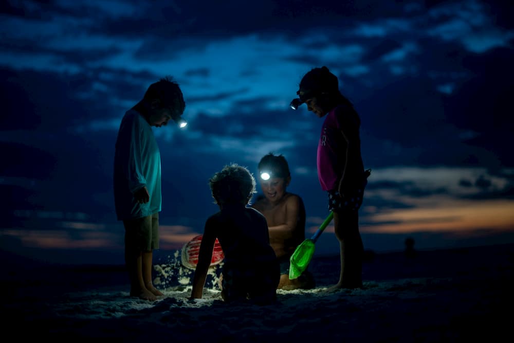 O normal, em psicologia, é o que é saudável e depende também da maturação biológica do organismo.