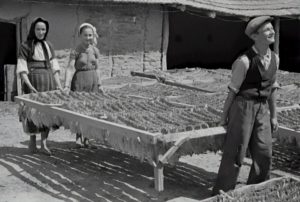 Retrocesso é voltar para trás. É um recuo, seja ao passado, seja a uma situação inicial.