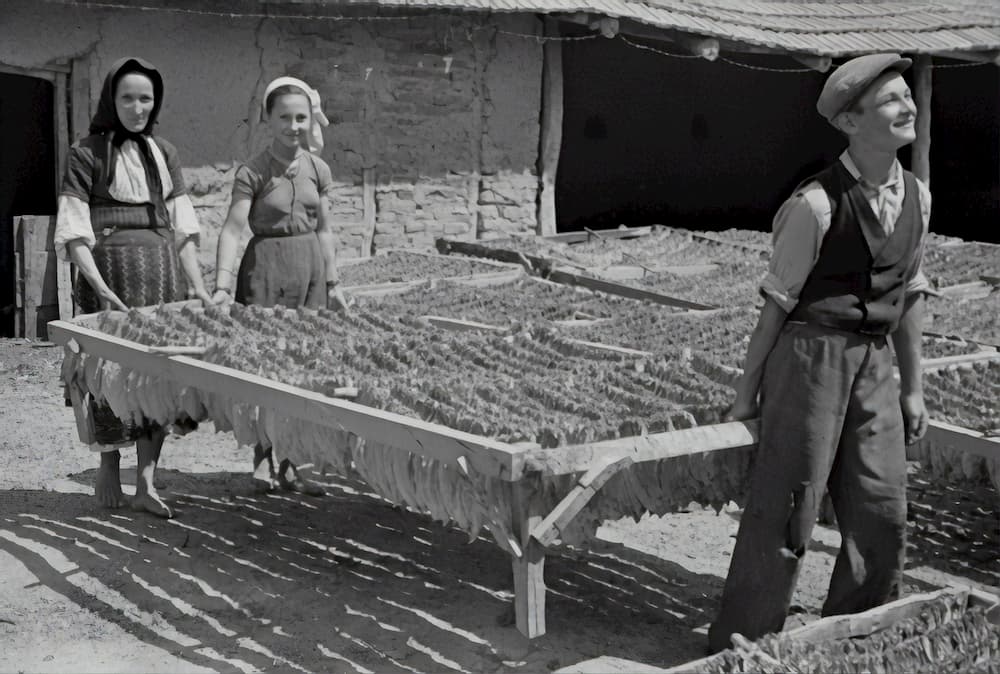 Retrocesso é voltar para trás. É um recuo, seja ao passado, seja a uma situação inicial.