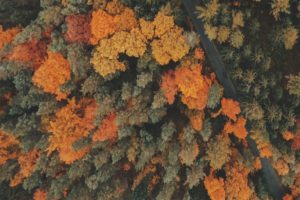 Já estamos no outono, a época da colheita. Estamos colhendo o que foi plantado na última estação.