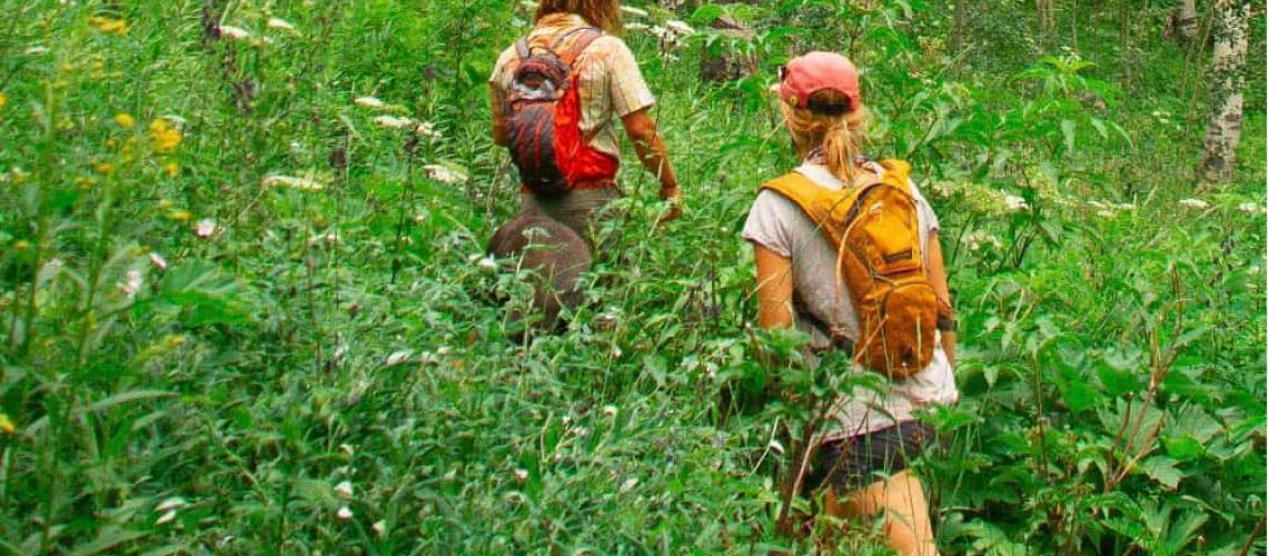 A rotina é um caminho aberto à força.