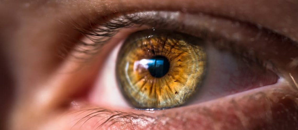 A lágrima é produzida pelas glândulas lacrimais, essa secreção límpida, incolor e salgada protege os olhos e a alma.