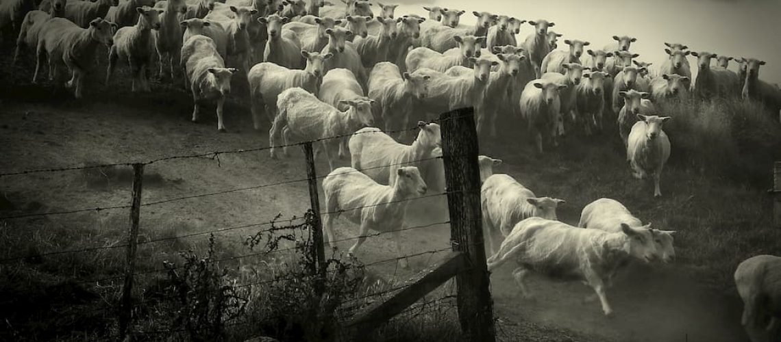 Sinônimo de afobação, a pressa é uma precipitação de quem não está calmo.